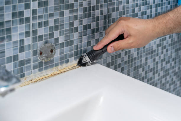 Best DIY Mold Remediation Support Services in Gibbon, NE