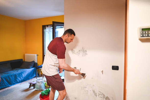 Best Residential Mold Remediation in Gibbon, NE